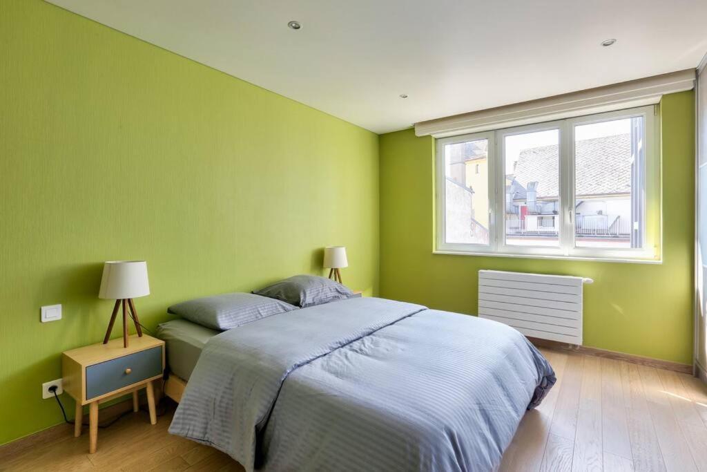 Appartement Spacieux Au Coeur De Strasburgo Esterno foto
